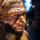 Czego możemy nauczyć się od neandertalczyków?